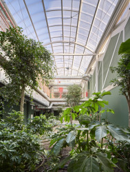 Uvnitř jsou zelená atria. (Reggio škola v Madridu, Office for Political Innovation)