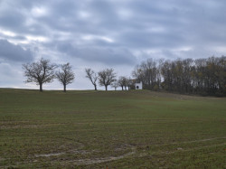 Kaple sv. Vendelína, Pelčák a partner architekti