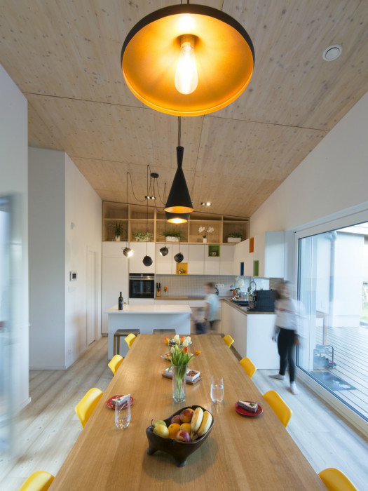 Rodinný dům Svinná u Trenčína, Treea/ Peter Kasman