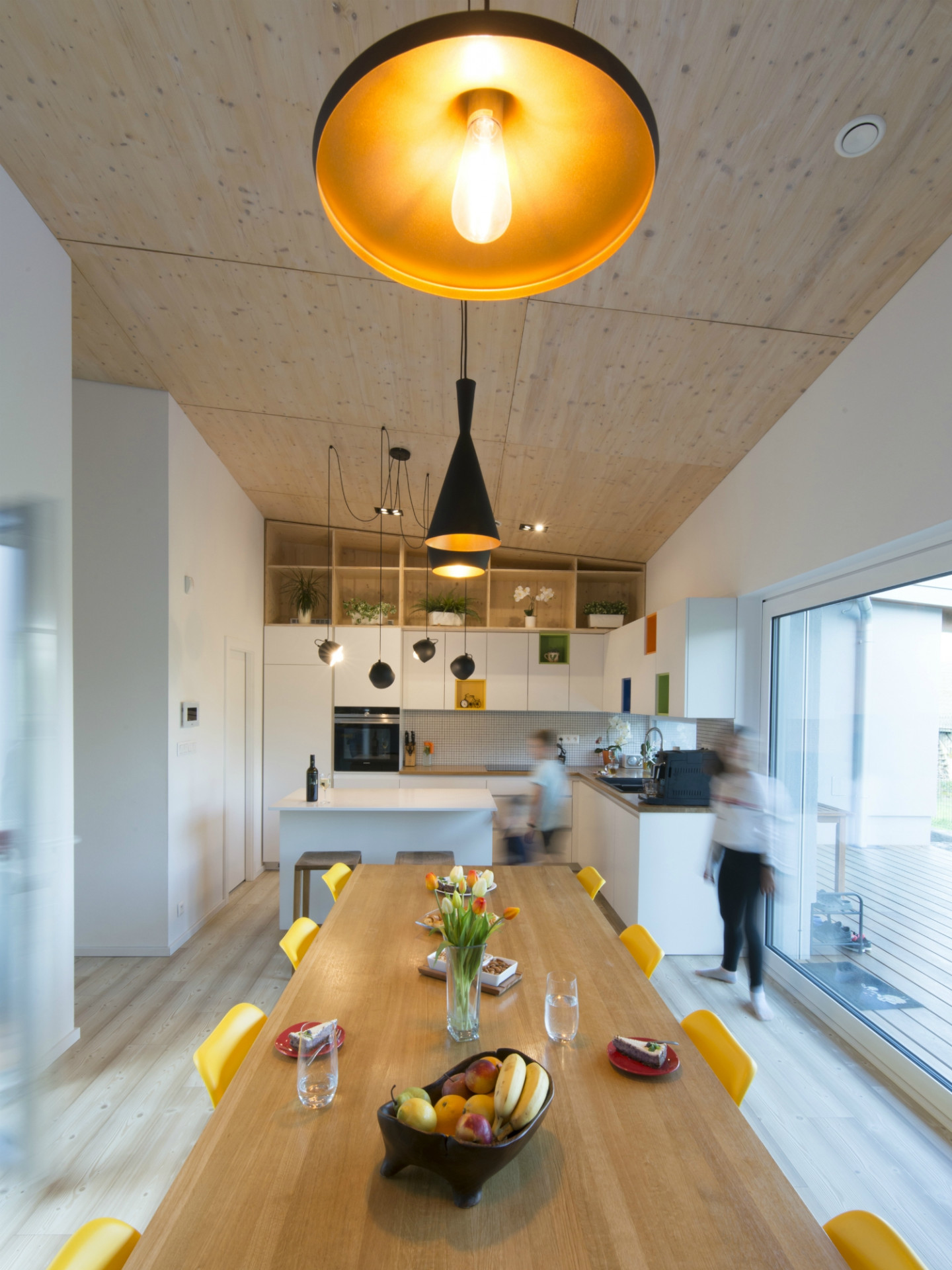 Rodinný dům Svinná u Trenčína, Treea/ Peter Kasman