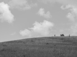 JANOŠÍK vydává knihu Krajina domovem jako oslavu svojí práce