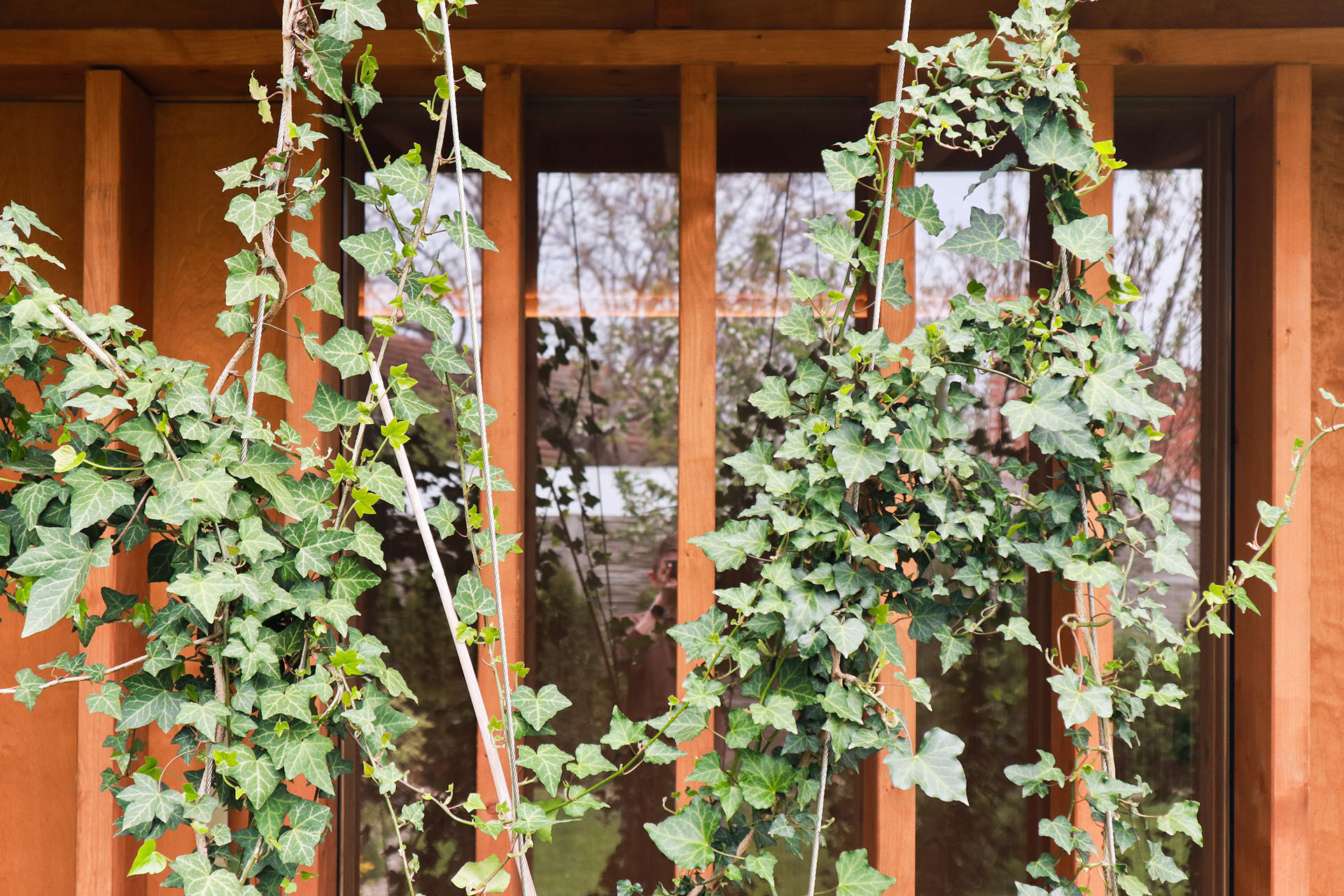 Vchod do sauny se proto trochu ukrývá za konstrukcí dřevěných lamel. (Sauna, Adam Lukačovič)