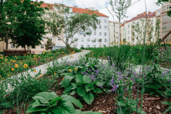 Nová vegetace (ateliér YYYY, park U Uranie)