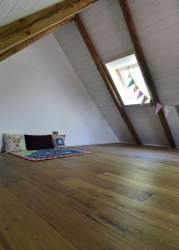 Rekonstrukce půdy, 3+1 architekti