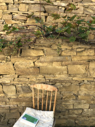 14. září proběhne v Hrubé Vrbce na jihu Moravy festival ‍zaCHRAŇTE stodoly.