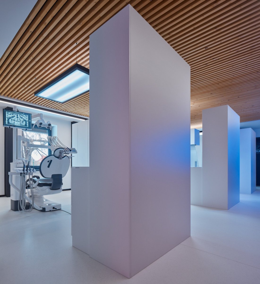 Dentální klinika myTREEDK v Opavě, QARTA Architektura / David Wittassek