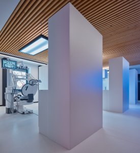 Dentální klinika myTREEDK v Opavě, QARTA Architektura / David Wittassek