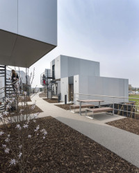 Studentské bydlení Dyson Institute of Engineering and Technology v anglickém Malmesbury, WilkinsonEyre Architects