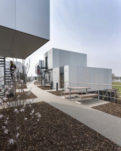 Studentské bydlení Dyson Institute of Engineering and Technology v anglickém Malmesbury, WilkinsonEyre Architects