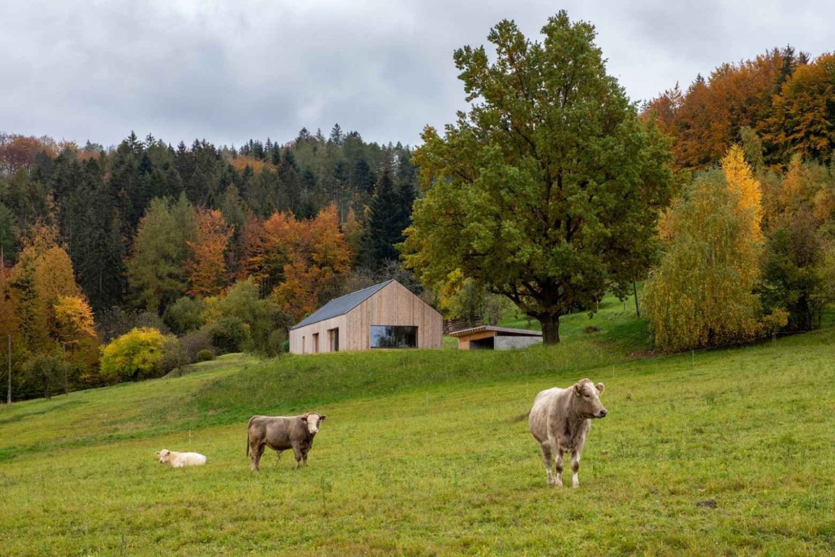 Rodinný dům ve Vidči, Kamil Mrva Architects