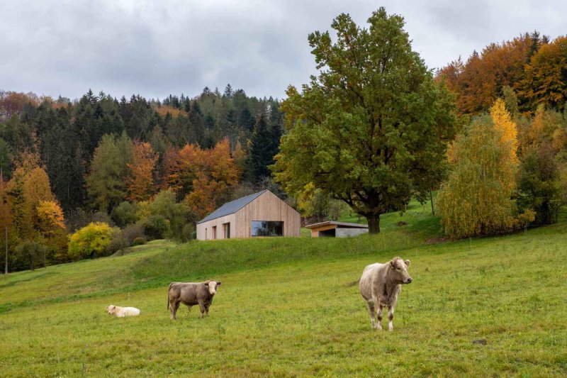 Rodinný dům ve Vidči od Kamil Mrva Architects