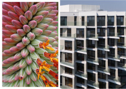 Administrativně-rezidenční komplex Hagibor roste na zanedbaném brownfieldu.