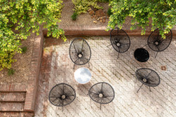 Apartmány a Cafe Dačický, Tereza Komárková