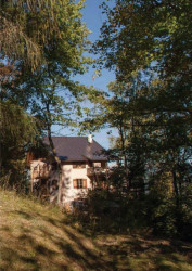 music for the forest,