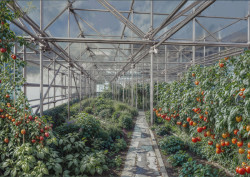 Kategorii nejlepší architektonický ateliér ovládl ateliér 546 Císler-Pazdera, který pracoval na zadání Košíře.