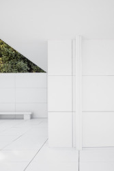 Mies Missing Materiality