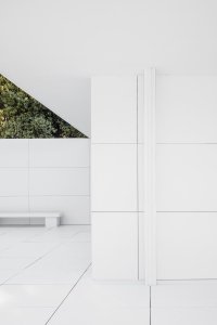 Mies Missing Materiality
