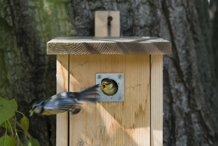 Montessori školka v Klecanech, No Architects / Jakub Filip Novák, Daniela Baráčková