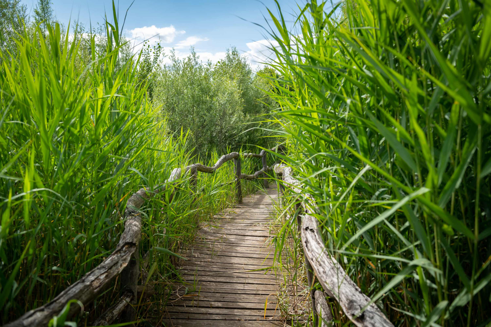 Nadace Partnerství zahájila přihlašování do pátého ročníku soutěže Adapterra Awards