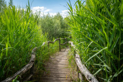 Nadace Partnerství zahájila přihlašování do pátého ročníku soutěže Adapterra Awards