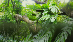 Inspirována přírodou