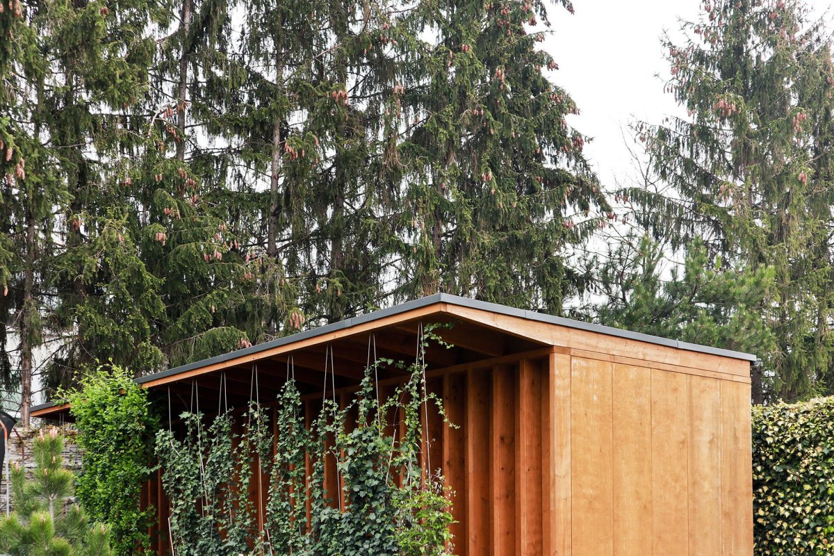 Lamely jsou doplněny popínavými rostlinami, a tak celá sauna splývá s okolní zahradou. (Sauna, Adam Lukačovič)