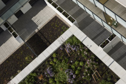 Brůha & Krampera architekti navrhli energeticky nenáročný bytový dům v Českých Budějovicích