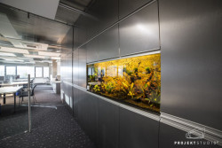 PROJEKTSTUDIO EUCZ, Concept House – foto