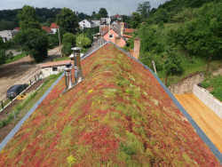 Minimalistická šikmá zelená střecha na rodinném domě, Dalibor Borák.
