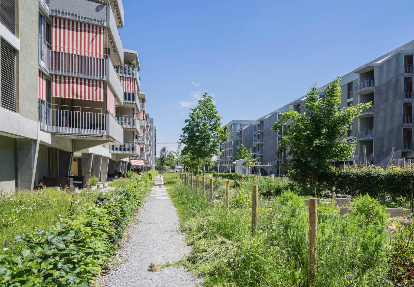 V Praze vystoupí švýcarský krajinářský architekt Lukas Schweingruber, zakladatel studia Vulkan s přednáškou s názvem Identita připravena na změnu.