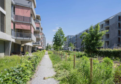 V Praze vystoupí švýcarský krajinářský architekt Lukas Schweingruber, zakladatel studia Vulkan s přednáškou s názvem Identita připravena na změnu.