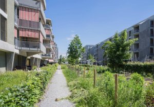 V Praze vystoupí švýcarský krajinářský architekt Lukas Schweingruber, zakladatel studia Vulkan s přednáškou s názvem Identita připravena na změnu.