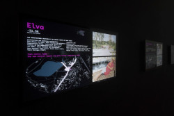 Estonská města se dramaticky vylidňují - zaměřuje se na to i národní pavilon