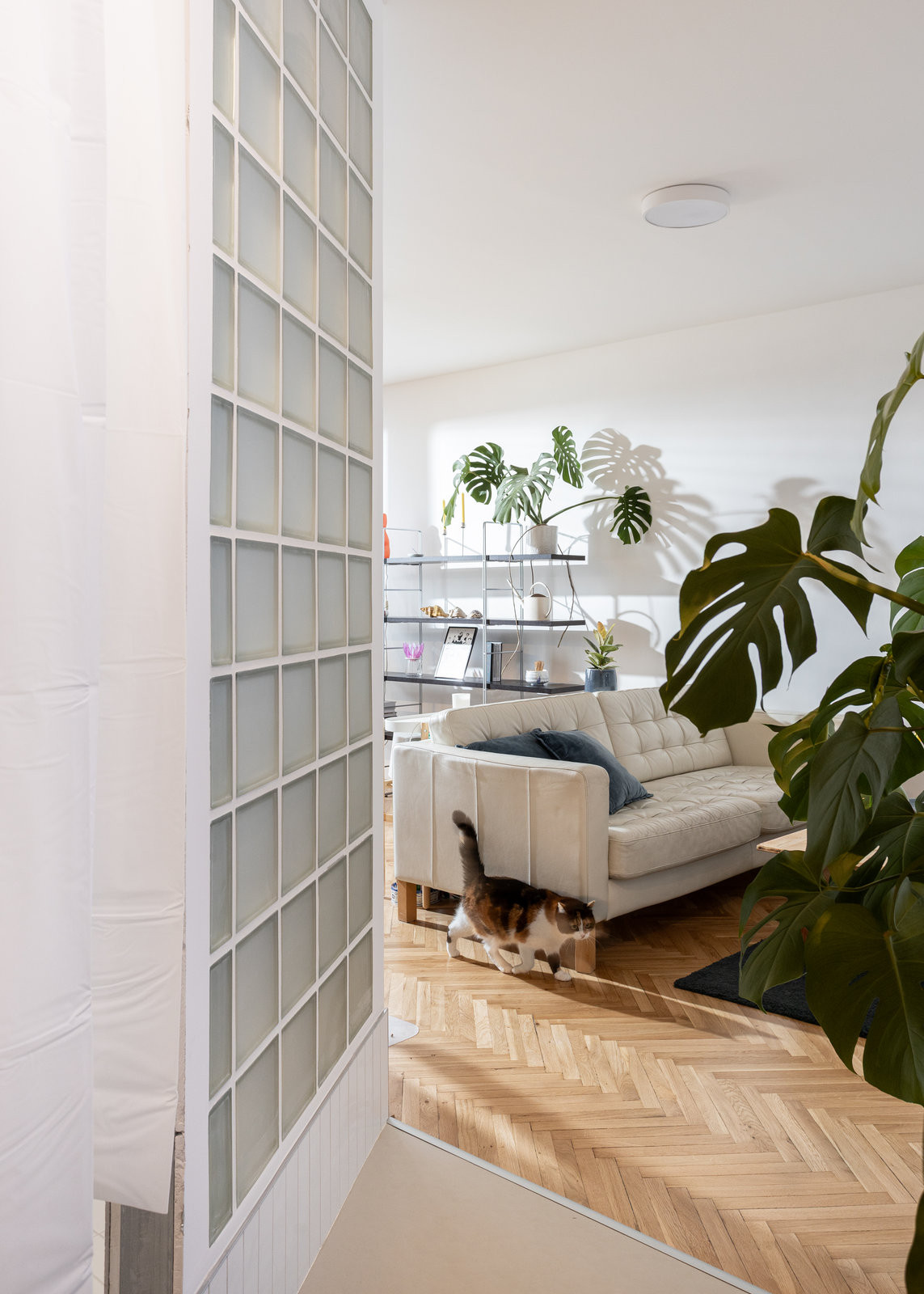 Byt se nachází na pražské Gutovce. (Rekonstrukce bytu v panelovém domě v Praze na Gutovce; P2P.)