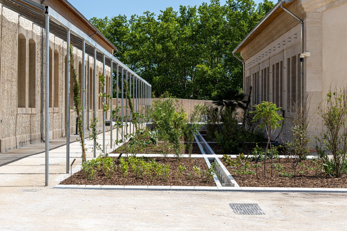 Vznikla i střešní zahrada (Rekonstrukce bývalých železničních dílen; ASSEMBLE, Atelier Luma, BC Architects )