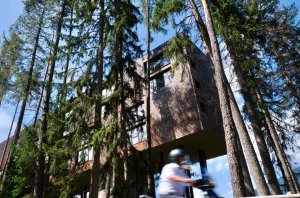 Nad Brixenem u lyžařského střediska Plose se skrývá hotel My Arbor, který vedou manželé Markus a Renate Huberovi. Architekt Gerhard Tauber se při jeho návrhu inspiroval okolními smrky a statky se šindelovou střechou.