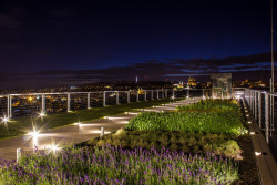 Střecha Národního zemědělského muzea, Ateliér Kročák - Architekt