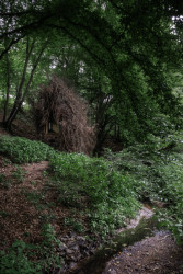 Cenu v kategorii drobná architektura získal domek Rošťák