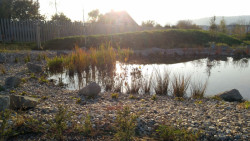 Městský hřbitov Prešov - Šváby, STOA architekti.