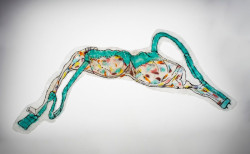 Stanislav Libenský Award 2016, Sophie Longwill – foto