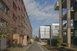 PPA Architectures, 50 Modular Timber Apartments - foto