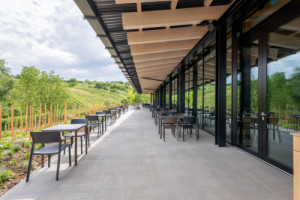 Výrazný přesah střech prosklení stíní a kryje k tomu terasy, které budovu z vybraných stran lemují. (ARTEVINI Resort & Winery u Velkých Pavlovic; znamení čtyř – architekti)