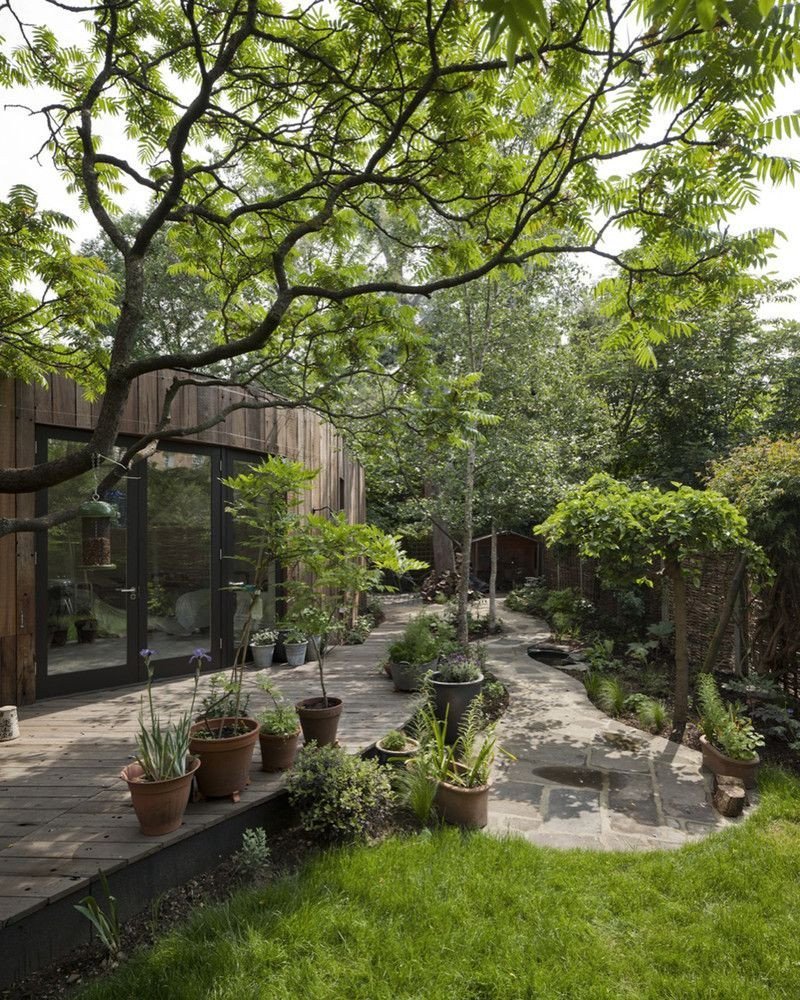 Tree House, 6a architects