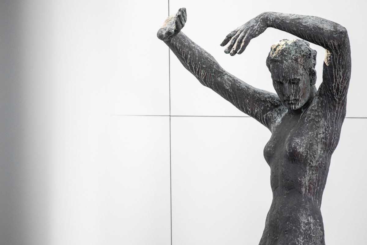Mies Missing Materiality