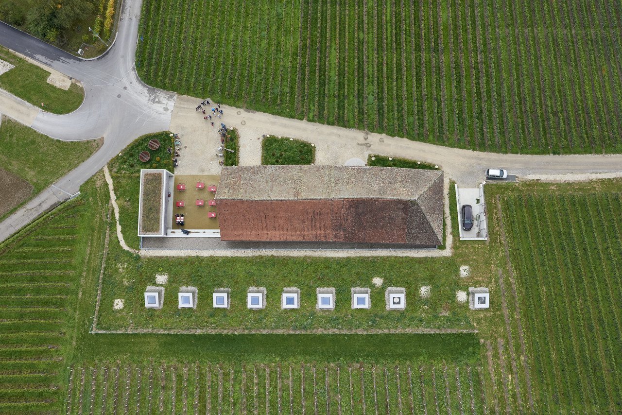 Taneční sál pod vinohradem, SPPA Architekten © Jürg Zimmermann