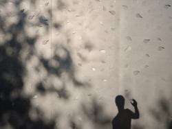 Na jejím povrchu jsou otisknuté listy - motiv, který se opakuje i v interiérech jednotlivých domků. (Bee House; Petr Novák)