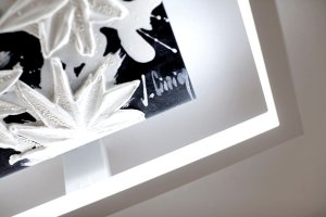 Detail Hawaii LT.Cinier - Mire Vertigo.