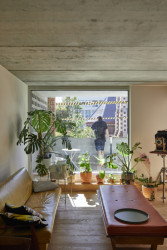 Terasový dům v Sydney od studia Austin Maynard Architects