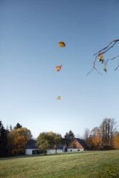 Lenka Míková, rekonstrukce usedlosti v Jižních Čechách