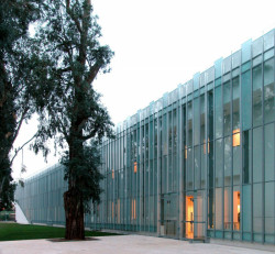 Ada Karmi-Melamede, Faculty of Business Administration and Government at the IDC University - foto